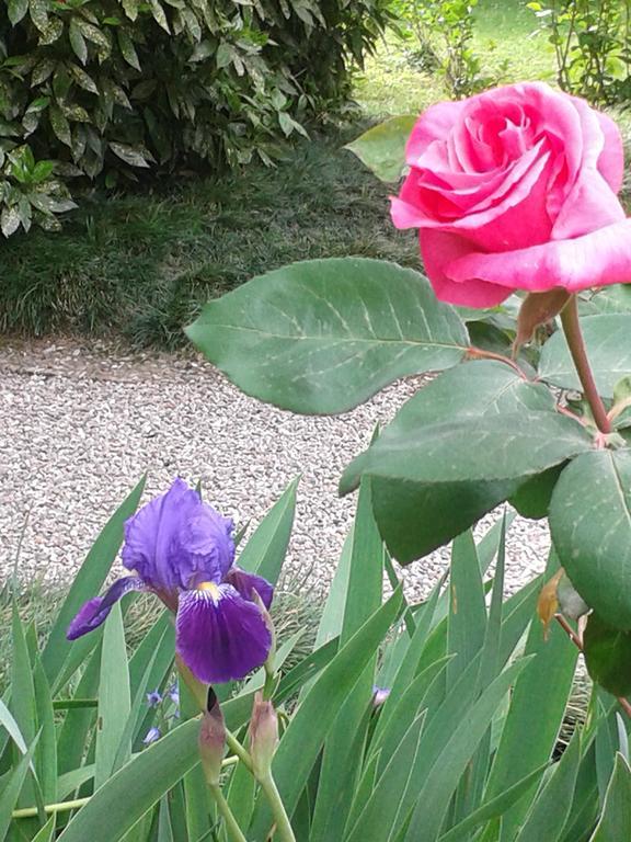 Villa Cavadini Relais Appiano Gentile Dış mekan fotoğraf